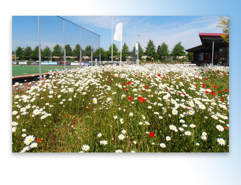 Subsidieregeling Natuur voor Elkaar voor sportterreinen uitgebreid