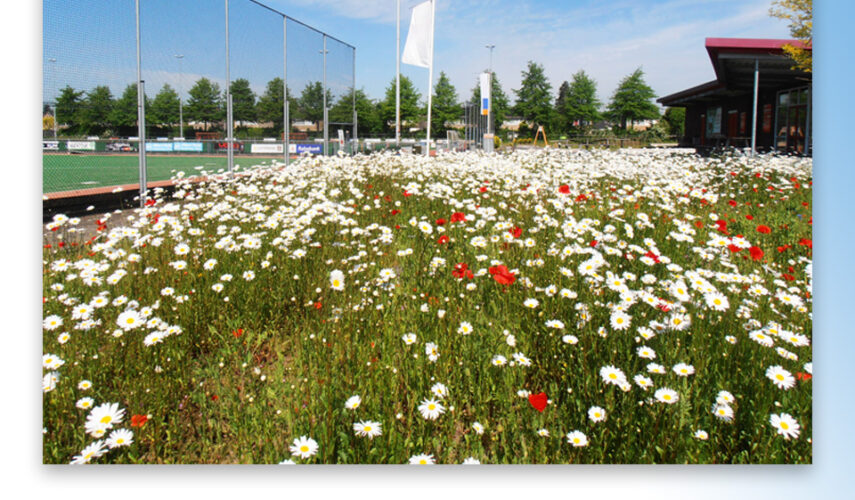 Subsidieregeling Natuur voor Elkaar voor sportterreinen uitgebreid