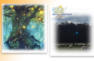 WORKSHOP: LICHT OP DE ONZICHTBARE WERELD