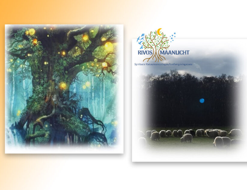 WORKSHOP: LICHT OP DE ONZICHTBARE WERELD