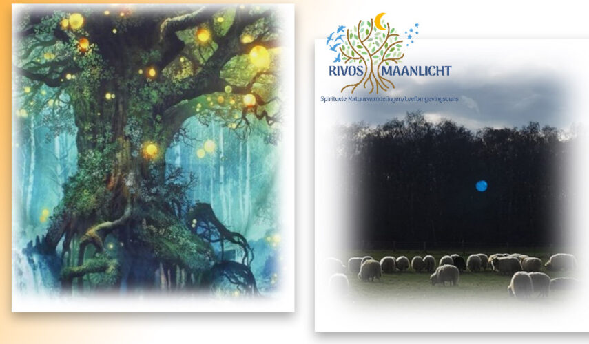WORKSHOP: LICHT OP DE ONZICHTBARE WERELD
