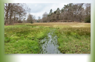 Excursie Bronnen en Beken van het Springendal