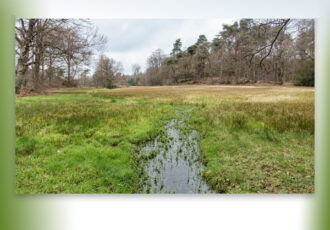 Excursie Bronnen en Beken van het Springendal