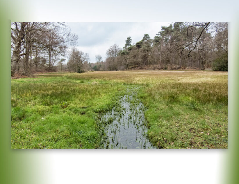 Excursie Bronnen en Beken van het Springendal