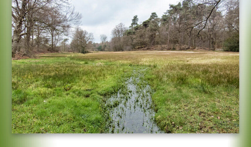 Excursie Bronnen en Beken van het Springendal