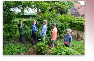 Groene Lopers stellen plantenpakketten beschikbaar voor buurten