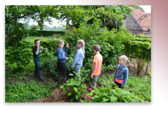 Groene Lopers stellen plantenpakketten beschikbaar voor buurten