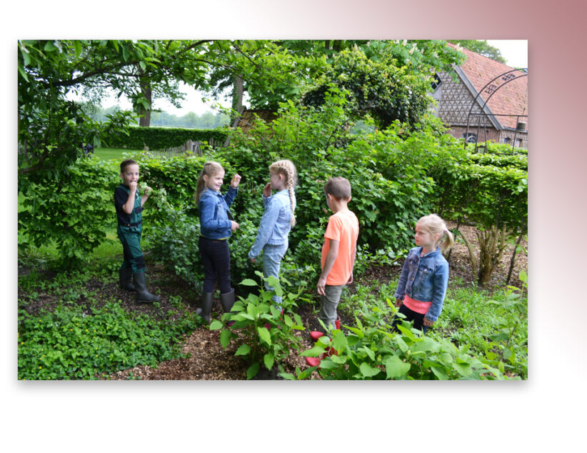 Groene Lopers stellen plantenpakketten beschikbaar voor buurten