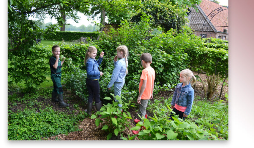 Groene Lopers stellen plantenpakketten beschikbaar voor buurten