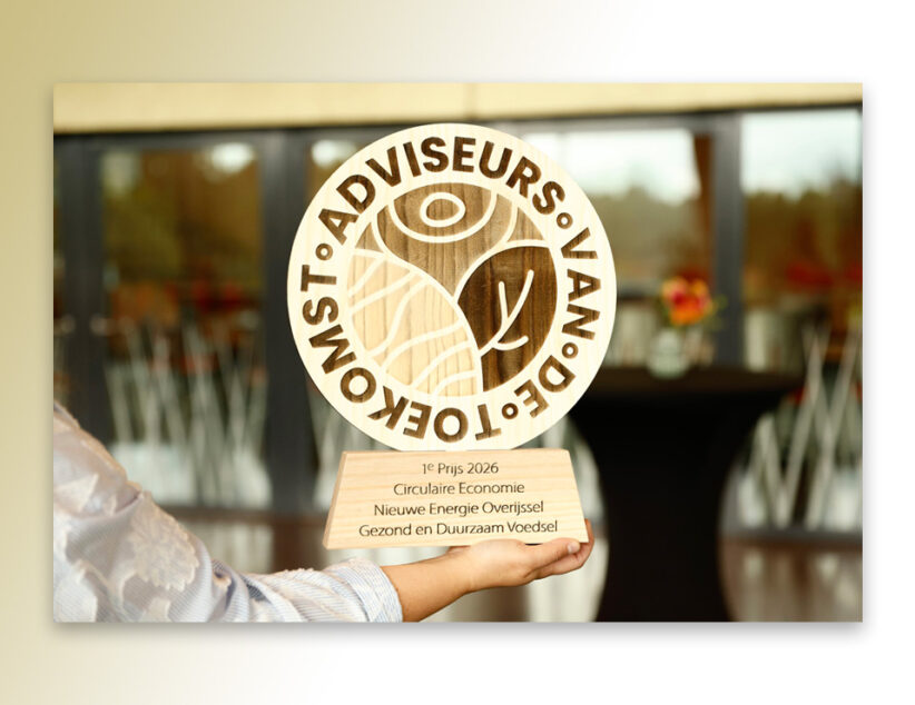Talenten van het Reggesteyn winnen prijs met duurzame website