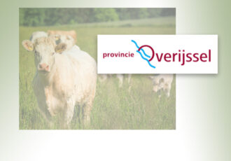 Overijssel test nieuwe aanpak om ammoniakuitstoot te verlagen