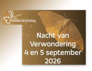 Nacht van verwondering