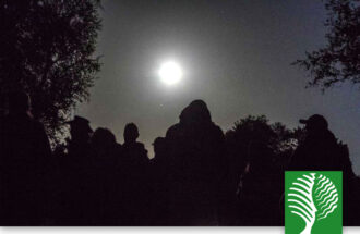 Nacht van de Nacht in het Springendal