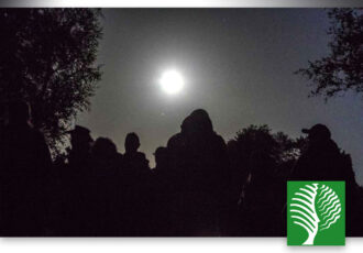 Nacht van de Nacht in het Springendal
