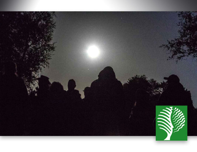 Nacht van de Nacht in het Springendal