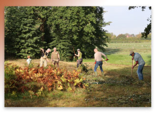 Klus geklaard in het Appellaantje