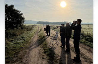 Vinken het vaakst geteld door Vogelwerkgroep Ootmarsum