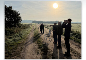 Vinken het vaakst geteld door Vogelwerkgroep Ootmarsum