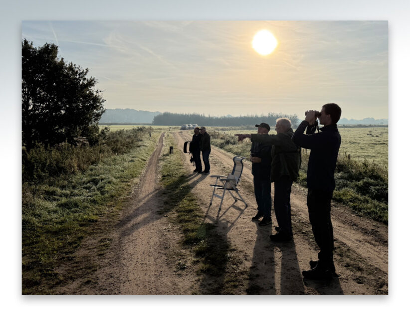 Vinken het vaakst geteld door Vogelwerkgroep Ootmarsum