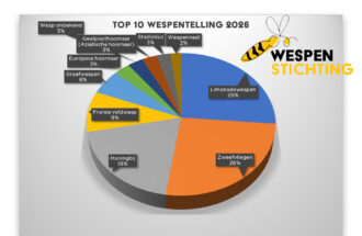 Limonadewesp nipt op 1 in nationale wespentelling