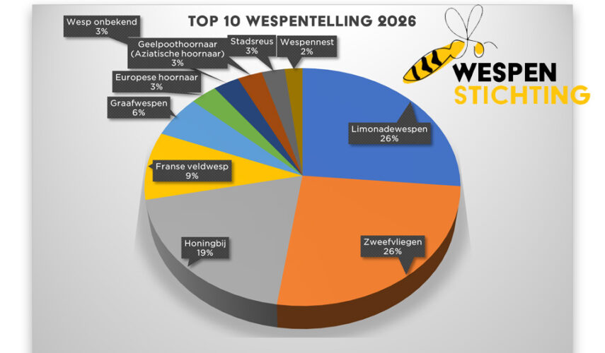 Limonadewesp nipt op 1 in nationale wespentelling
