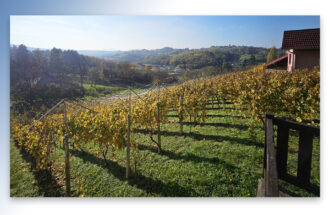 World Winery Map gelanceerd